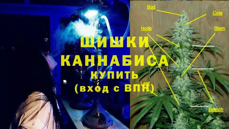 ссылка на мегу зеркало  Туринск  Бошки Шишки OG Kush 